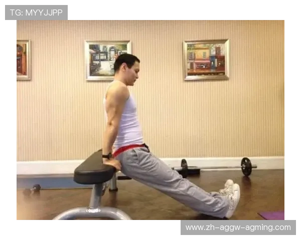 臂力活动健身器材种类及科学锻炼方法介绍